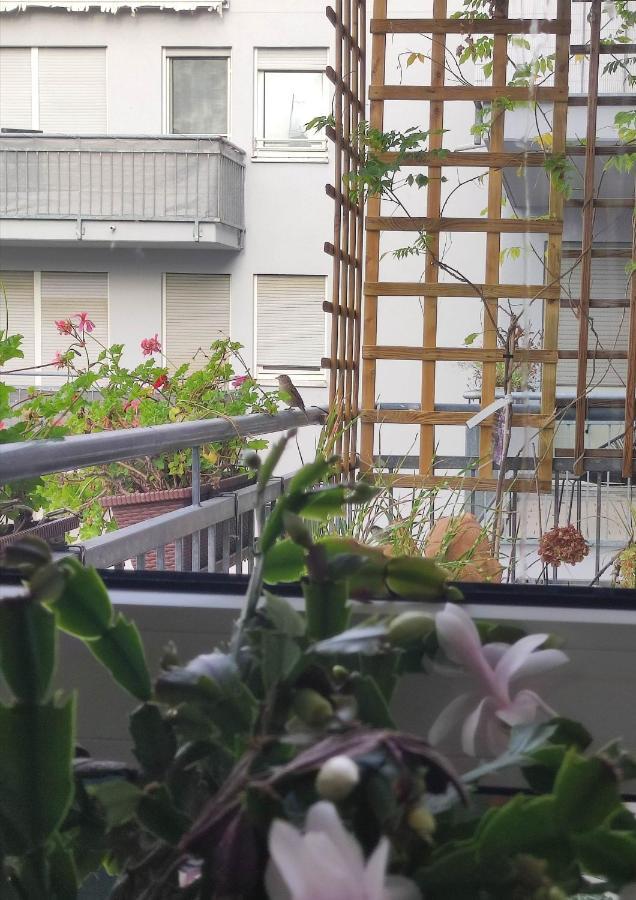 Grosse Wohnung Fuer Gruppe نورنبيرغ المظهر الخارجي الصورة